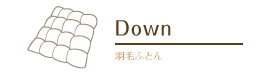 Down 羽毛ふとん