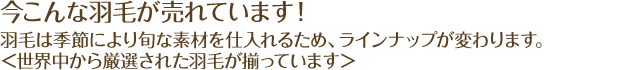 今こんな羽毛が売れています！羽毛は季節により旬な素材を仕入れるため、ラインナップが変わります。＜世界中から厳選された羽毛が揃っています＞