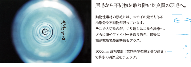 原毛から不純物を取り除いた良質の羽毛へ。　動物性素材の原毛には、ニオイの元でもある油脂分や不純物が残っています。そこで大切なのが、くり返しおこなう洗浄…。さらに塵やファイバーを取り除き、最後に高温乾燥で殺菌効果もプラス。　1000mm透視度計(業界基準の約2倍の高さ)で排水の清浄度をチェック。