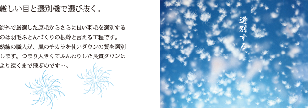 厳しい目と選別機で選び抜く。　海外で厳選した原毛からさらに良い羽毛を選別するのは羽毛ふとんづくりの根幹と言える工程です。熟練の職人が、風のチカラを使いダウンの質を選別します。つまり大きくてふんわりした良質ダウンはより遠くまで飛ぶのです…。